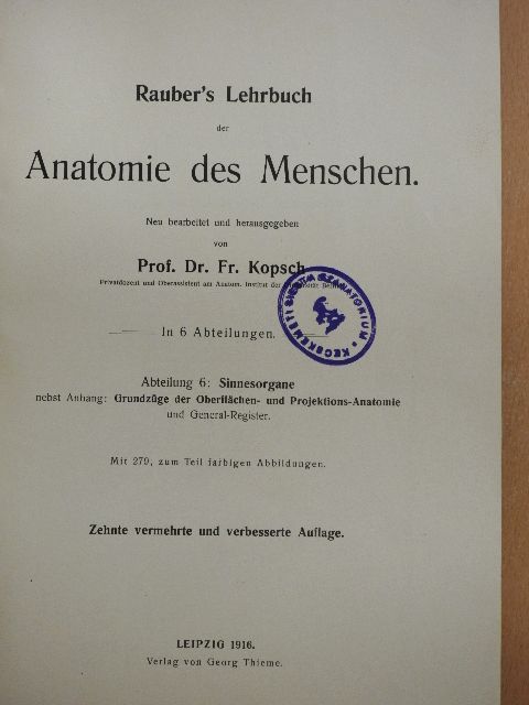 Prof. Fr. Kopsch - Rauber's Lehrbuch der Anatomie des Menschen Abteilung 6. (töredék) [antikvár]