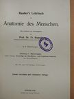 Prof. Fr. Kopsch - Rauber's Lehrbuch der Anatomie des Menschen Abteilung 6. (töredék) [antikvár]
