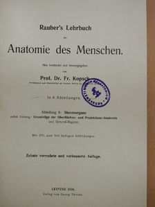 Prof. Fr. Kopsch - Rauber's Lehrbuch der Anatomie des Menschen Abteilung 6. (töredék) [antikvár]