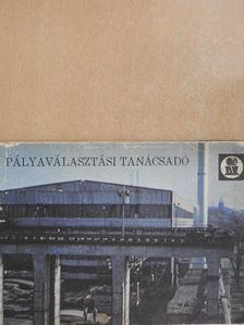 Kiss Pál - Pályaválasztási tanácsadó [antikvár]