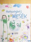 Csáky Ida Anna - Hatszögletű mesék [antikvár]