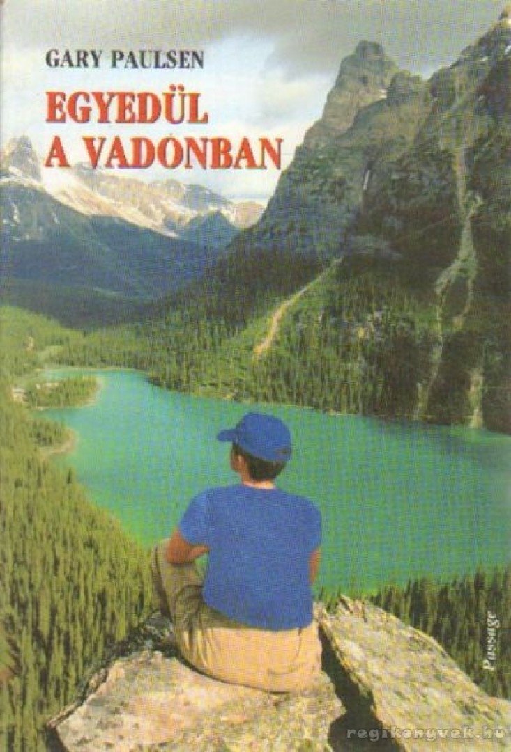 Paulsen, Gary - Egyedül a vadonban [antikvár]