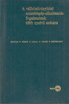 Síklaky István, Ruisz Rezső - A vállalatirányítási számítógép-alkalmazás fogalmainak több nyelvű szótára [antikvár]