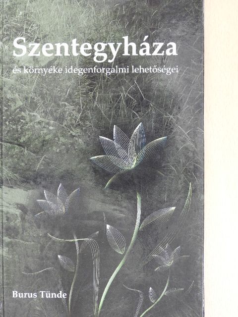 Burus Tünde - Szentegyháza és környéke idegenforgalmi lehetőségei  [antikvár]