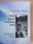 Csernok Attila - Mint patak a sziklák közt [antikvár]