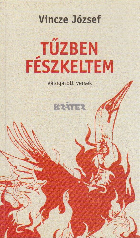 Vincze József - Tűzben fészleltem [antikvár]