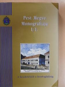 Bondár Mária - Pest Megye Monográfiája I/1. [antikvár]