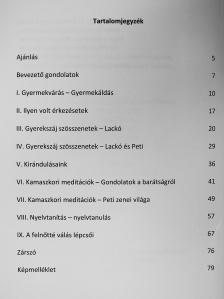 Kósáné dr. Oláh Julianna - Együtt dobbanó szívek (dedikált példány) [antikvár]