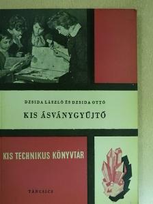 Dzsida László - Kis ásványgyűjtő [antikvár]