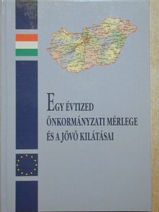 Ádám Antal - Egy évtized önkormányzati mérlege és a jövő kilátásai [antikvár]