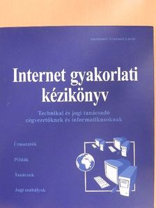 Csapó Ida - Internet gyakorlati kézikönyv 1-10. [antikvár]