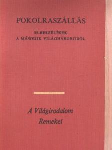 Bruno Apitz - Pokolraszállás [antikvár]