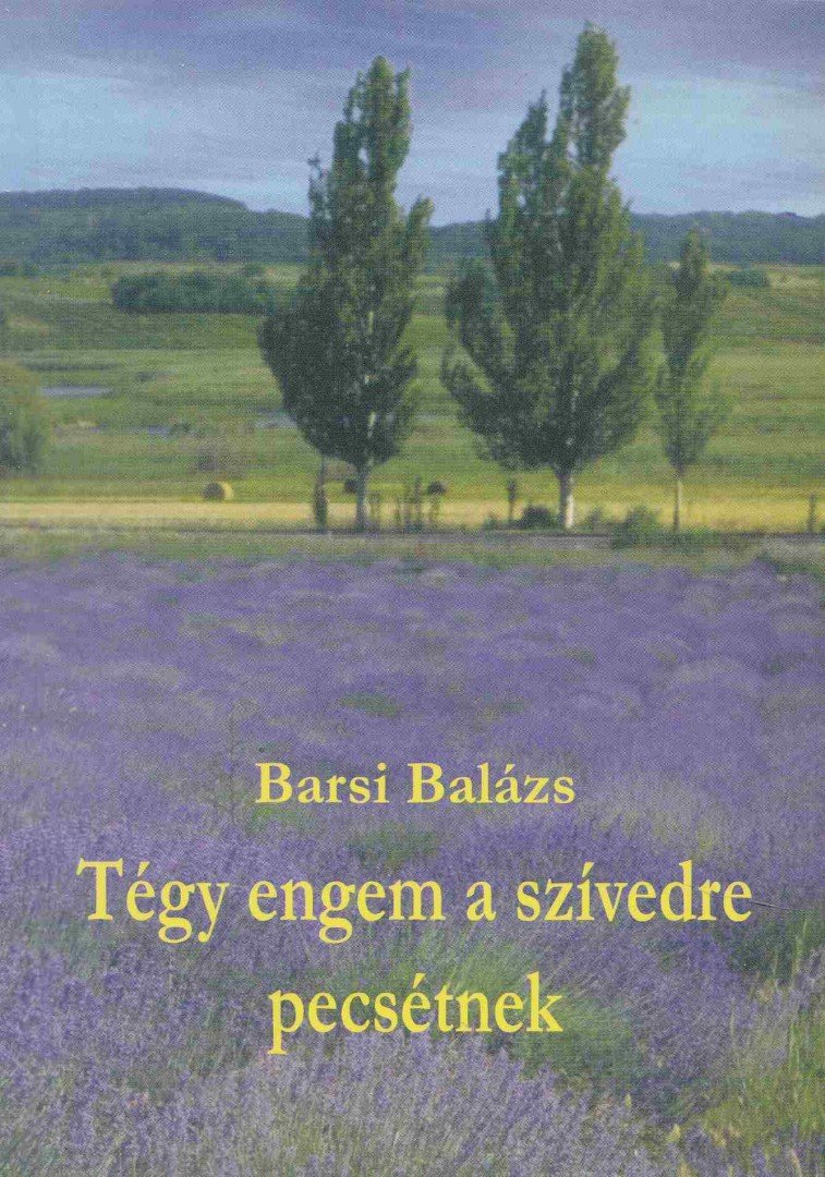 FR. BARSI BALÁZS OFM - Tégy engem a szívedre pecsétnek [antikvár]