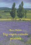 FR. BARSI BALÁZS OFM - Tégy engem a szívedre pecsétnek [antikvár]