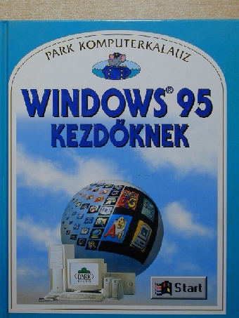Gillian Doherty - Windows 95 kezdőknek [antikvár]