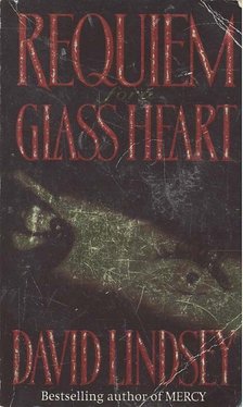 Requiem for a Glass Heart [antikvár]