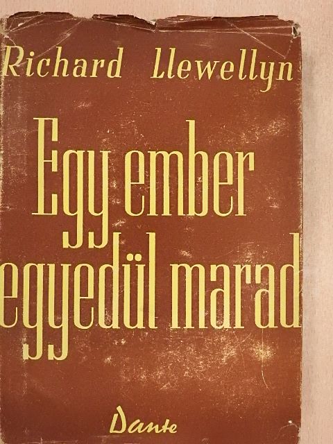 Richard Llewellyn - Egy ember egyedül marad [antikvár]