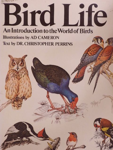 Dr. Christopher Perrins - Bird Life [antikvár]
