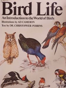 Dr. Christopher Perrins - Bird Life [antikvár]