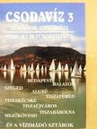 Dr. Csapó Katalin - Csodavíz 3 [antikvár]