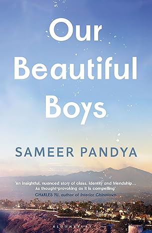 Sameer Pandya - Our Beautiful Boys