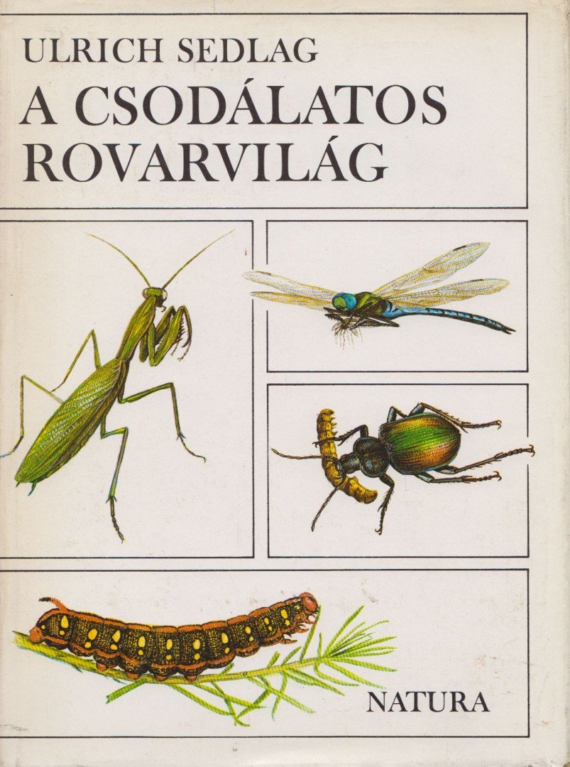 Sedlag, Ulrich - A csodálatos rovarvilág [antikvár]