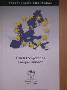 Borbély László - Üzleti környezet az Európai Unióban [antikvár]