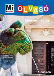 Rozgonyi Sarolta - Magyarország [antikvár]