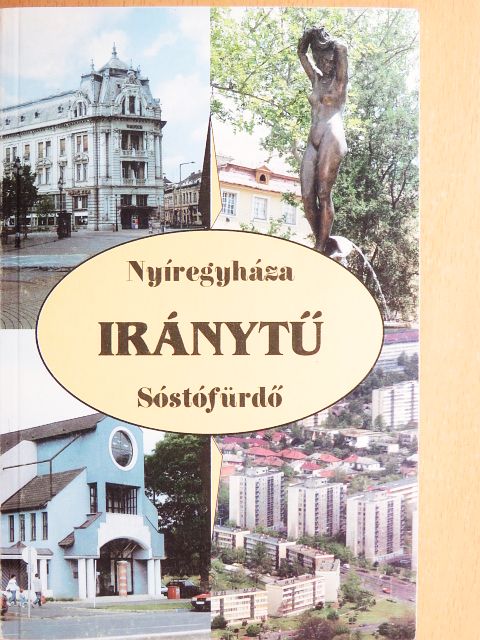 Dr. Vincze István - Iránytű [antikvár]