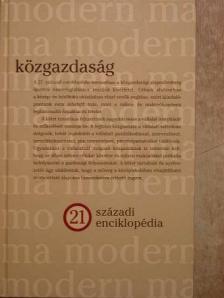 Andor László - Közgazdaság [antikvár]