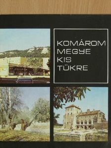 Wér Vilmos - Komárom megye kis tükre [antikvár]