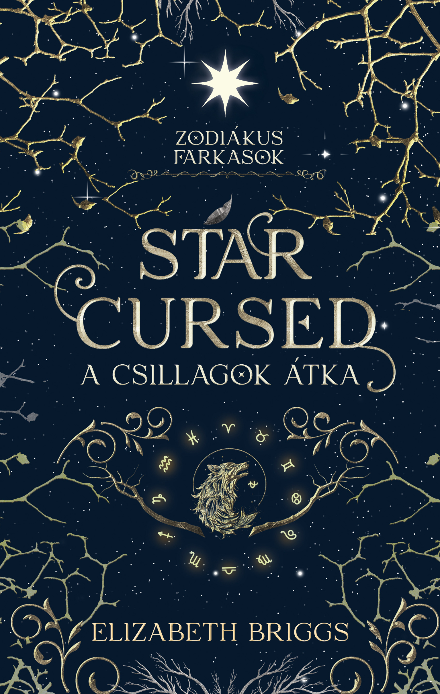 Elizabeth Briggs - Star Cursed - A csillagok átka