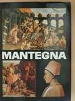 Alexandru Balaci - Mantegna [antikvár]