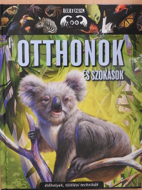 Bagoly Ilona - Otthonok és szokások [antikvár]