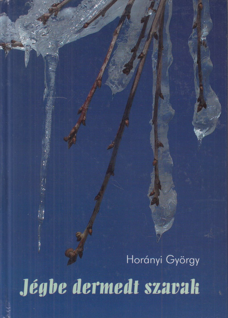 Horányi György - Jégbe dermedt szavak [antikvár]