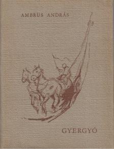 Ambrus András - Gyergyó [antikvár]