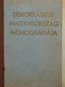 Ábrányi Emil - Száz év a szabadságért/Negyvennyolctól negyvennyolcig [antikvár]
