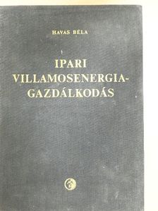 Havas Béla - Ipari villamosenergia-gazdálkodás [antikvár]