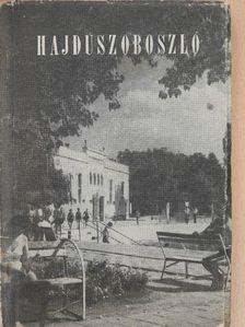 Dr. Csomor Benő - Hajdúszoboszló [antikvár]