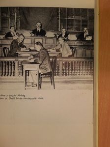 Hegedüs Sándor - Egy politikai per kulisszatitkai [antikvár]