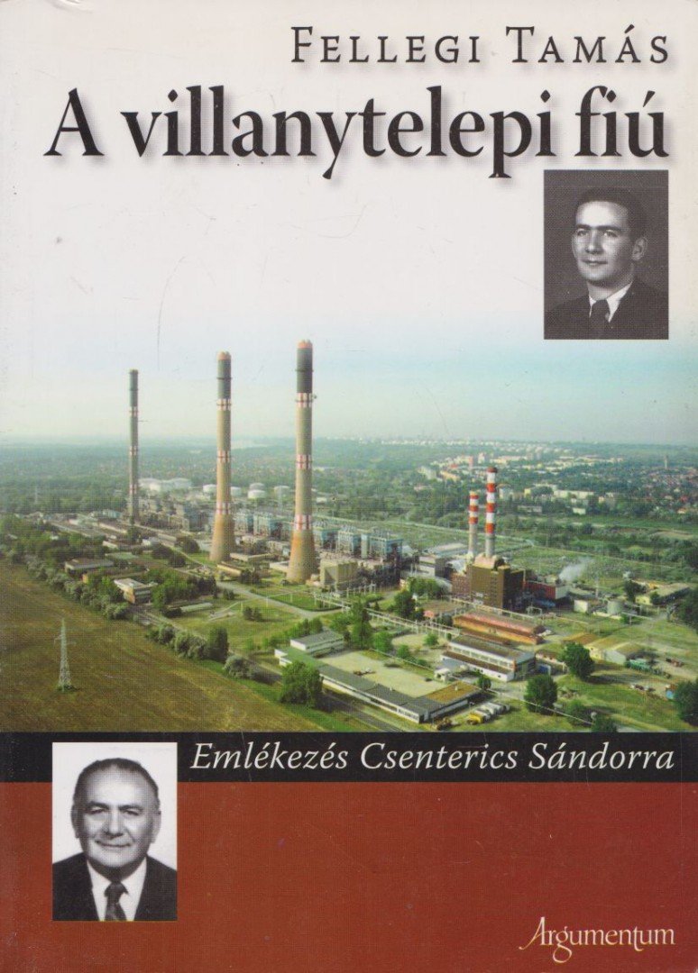 Fellegi Tamás - A villanytelepi fiú [antikvár]