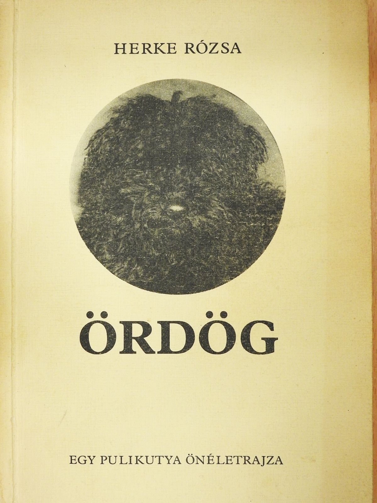 Herke Rózsa - Ördög (dedikált példány) [antikvár]
