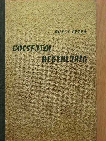 Ruffy Péter - Göcsejtől Hegyaljáig [antikvár]