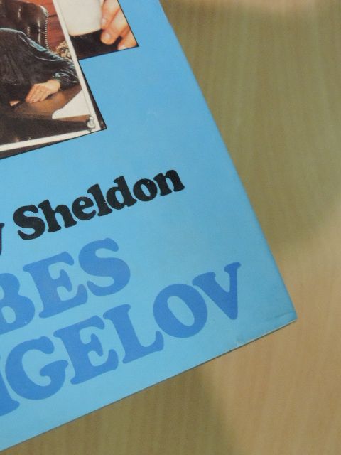 Sidney Sheldon - Bes angelov [antikvár]