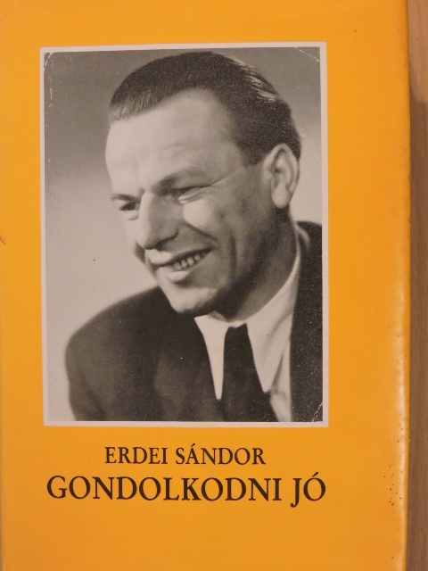 Erdei Sándor - Gondolkodni jó [antikvár]