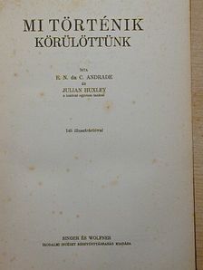 Andrade - Mi történik körülöttünk [antikvár]