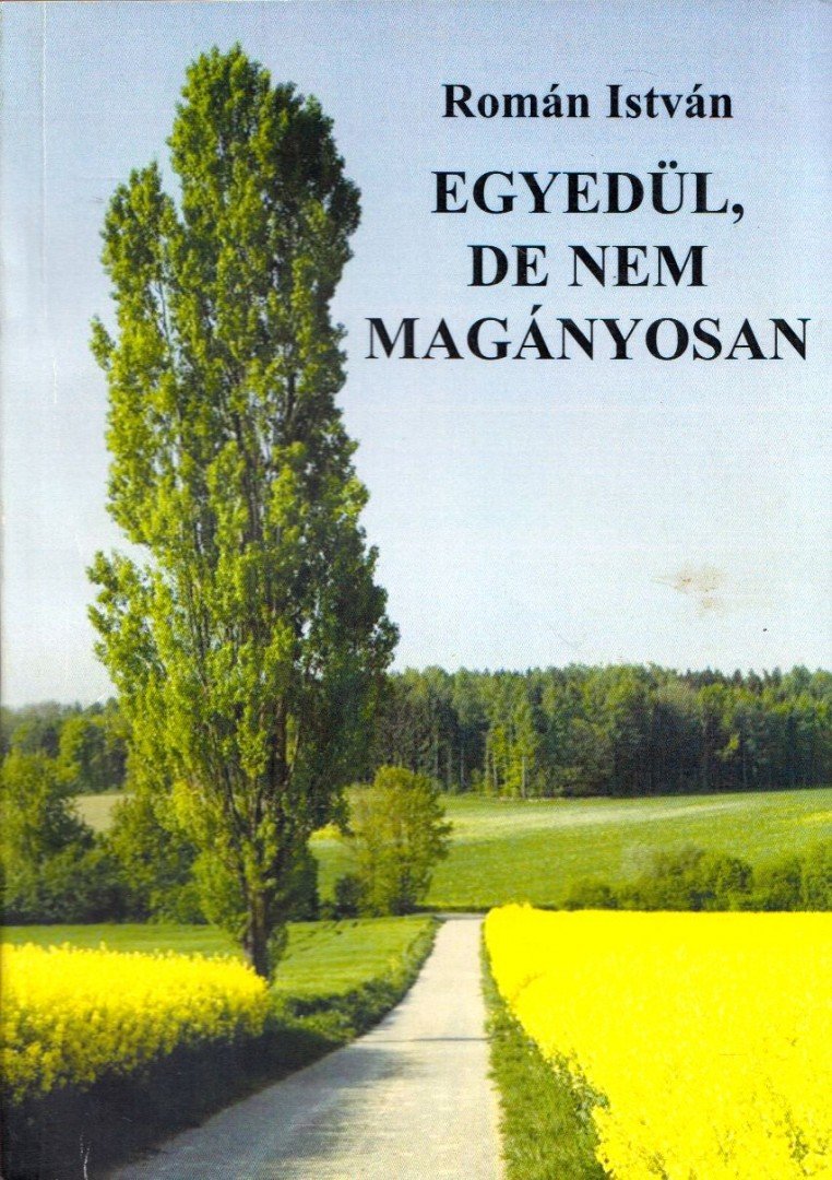 Román István - Egyedül, de nem magányosan [antikvár]