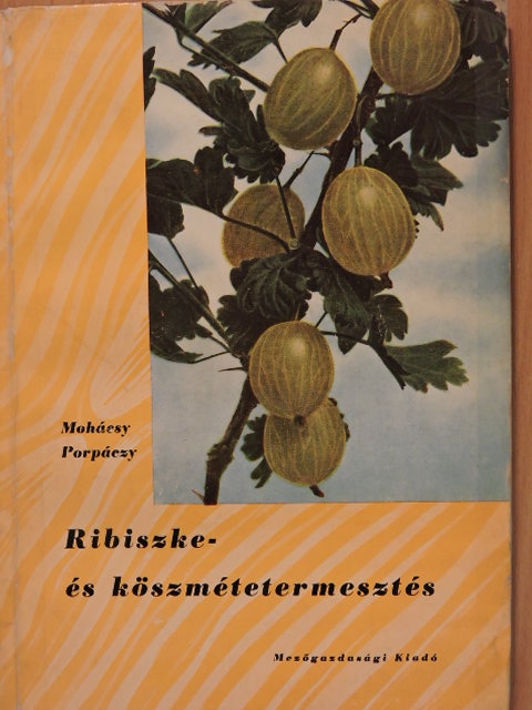 Mohácsy Mátyás - Ribiszke- és köszmétetermesztés [antikvár]
