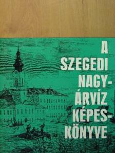 Tóth Béla - A szegedi nagyárvíz képeskönyve [antikvár]