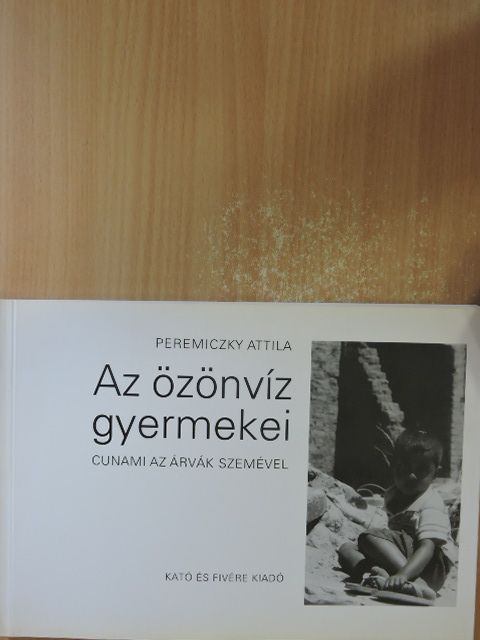 Peremiczky Attila - Az özönvíz gyermekei [antikvár]